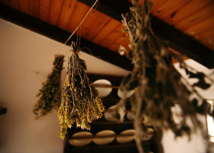 Tatil Evi Krasospito 1850 - A Corfiot Wine House Reborn *