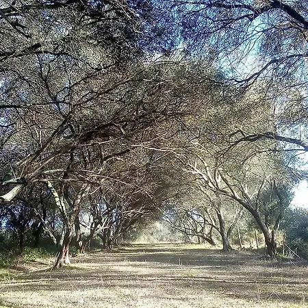 Krasospito 1850 - A Corfiot Wine House Reborn Lefkímmi