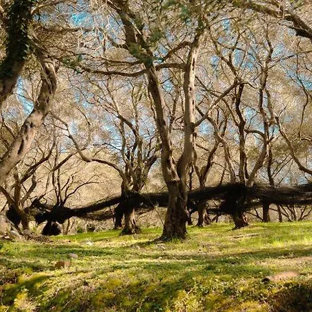 Krasospito 1850 - A Corfiot Wine House Reborn Vakantiehuis