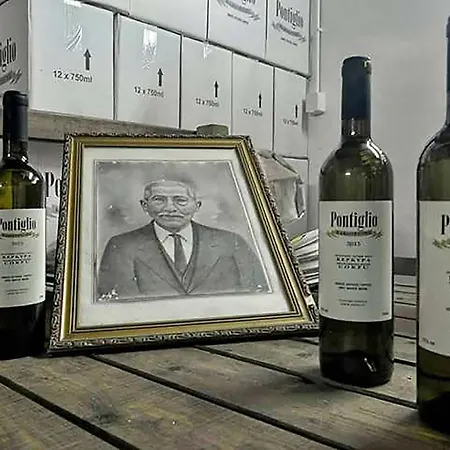 Krasospito 1850 - A Corfiot Wine House Reborn Vakantiehuis Lefkímmi