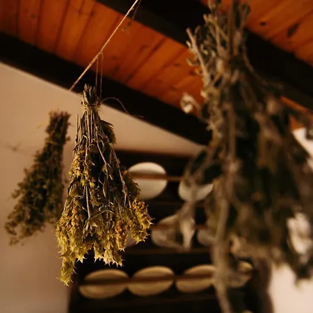Ferienhaus Krasospito 1850 - A Corfiot Wine House Reborn *