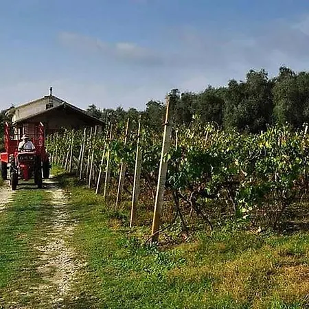 Ferienhaus Krasospito 1850 - A Corfiot Wine House Reborn *