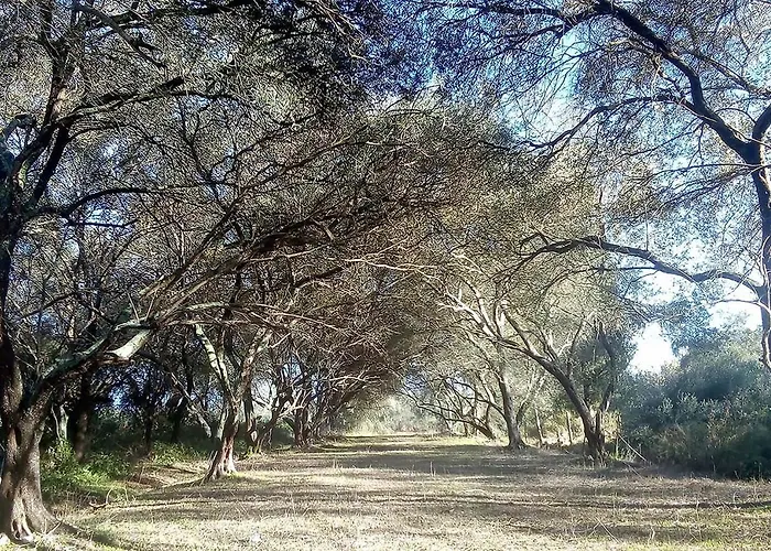 Krasospito 1850 - A Corfiot Wine House Reborn Lefkimmi