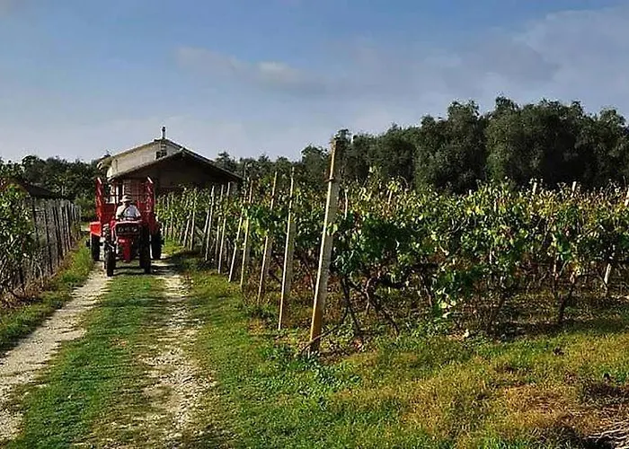 Case de vacanță Krasospito 1850 - A Corfiot Wine House Reborn *